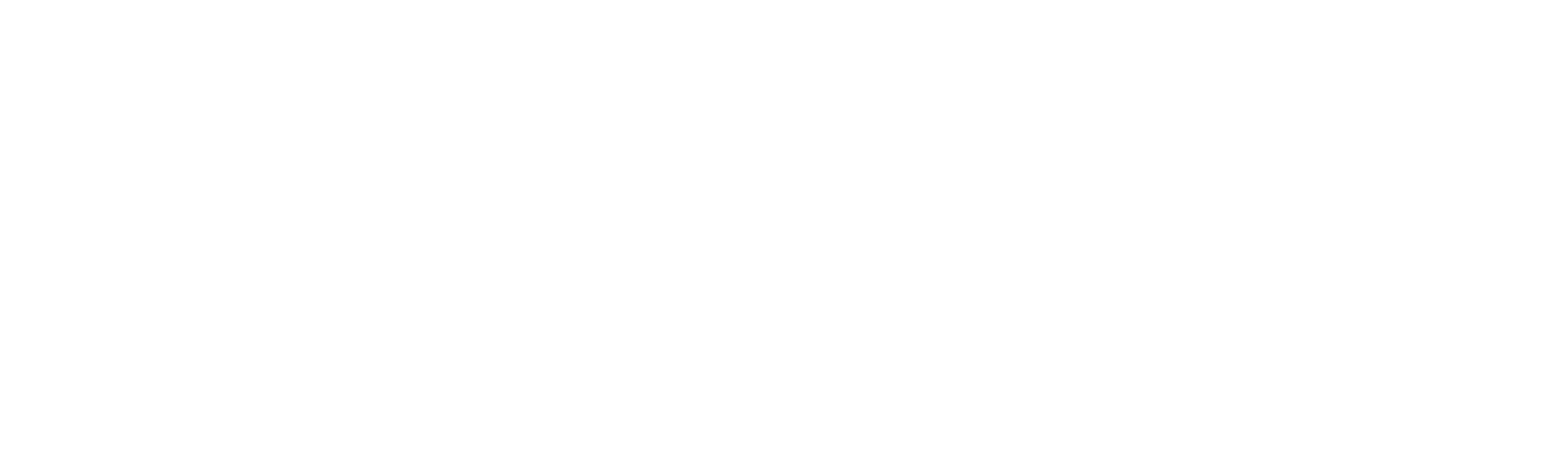 VN Project Oy